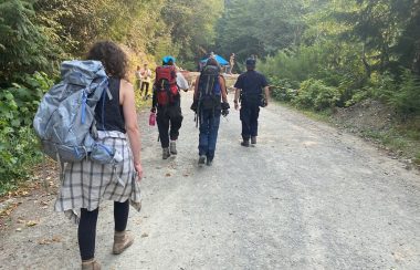 A group of four protestors walking doown a road.