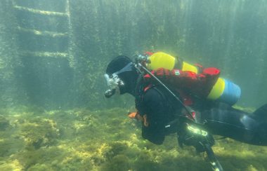 A diver underwater. They are wearing full scuba gear and have a bright yellow oxygen tank on.