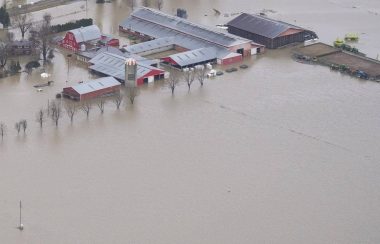 An Aerial shot of the Sumas Prairie flooded