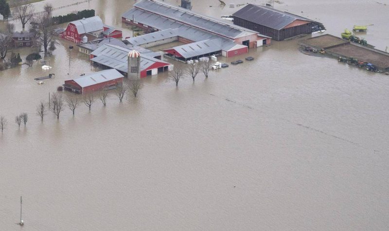 An Aerial shot of the Sumas Prairie flooded