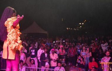 La foule durant le AfroFestival Ottawa