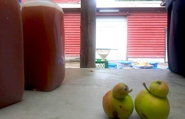 Two oddly-shaped apples in the foreground with bottles of juice on the side and juice-straining equipment in the background.