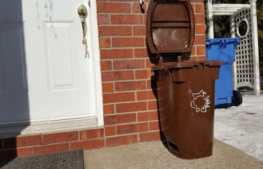 Un bac brun pour le compostage