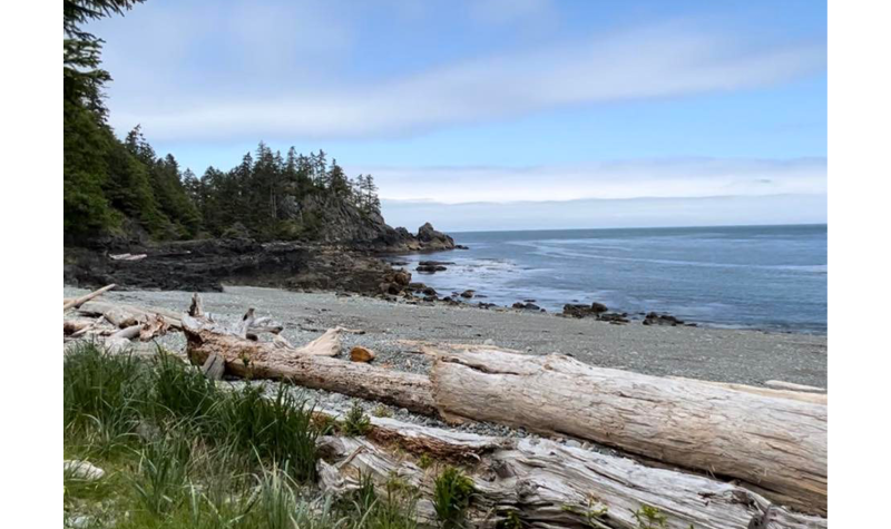 A landscape of water and a beach with trees