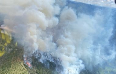 A wildfire burns on the side of Black Mountain. The photo was taken from an aircraft above the fire.