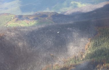 A helicopter view of a charred forest left over from a wildfire. There are forests around the site alive. The burned area is located on the side of a mountain. Weather seems cloudy.