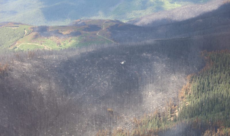 A helicopter view of a charred forest left over from a wildfire. There are forests around the site alive. The burned area is located on the side of a mountain. Weather seems cloudy.