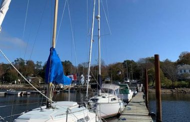 Sailboats line a dock in a sunny day