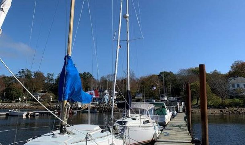 Sailboats line a dock in a sunny day