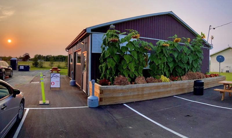 A small wooden building with sunflowers growing in a planter in front. The building is next to a parking lot in the front and a green field behind. The sun is setting in the distance.