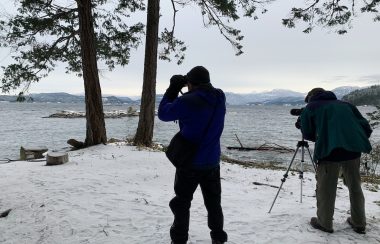 Two men are looking out over the water through binoculars and a spotting scope.