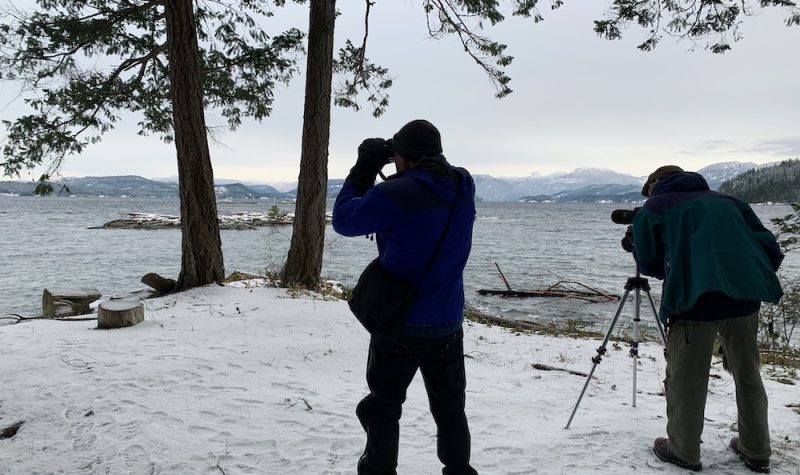 Two men are looking out over the water through binoculars and a spotting scope.