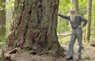 Title image: Ron Wolda in the Community Forest. The Community Forest initiative is one that Adam McKenty uses as an example of steps towards Community Economic Development.