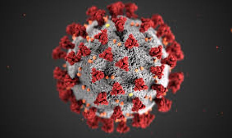 A graphic image of the COVID-19 virus. It is a grey sphere with red spikes around the sphere.