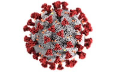 An illustration of a coronavirus created at the US Centers for Disease Control and Prevention.