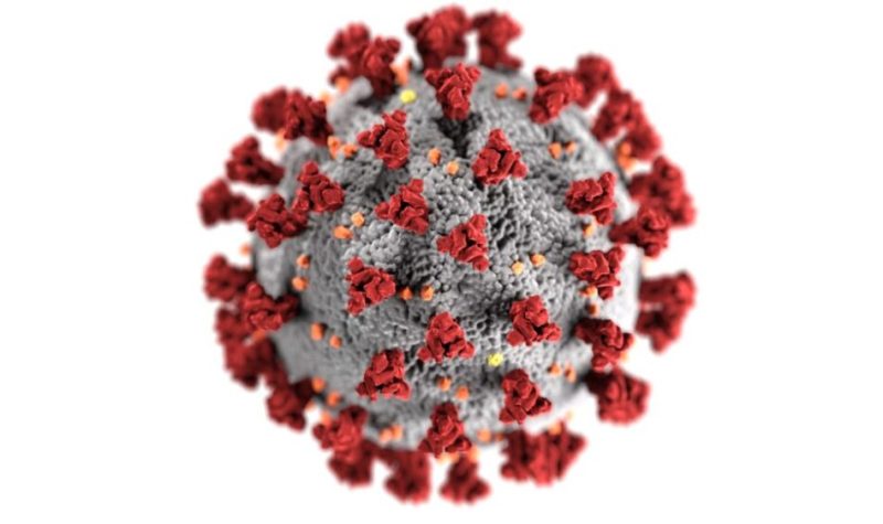 An illustration of a coronavirus created at the US Centers for Disease Control and Prevention.