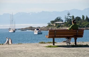 femme de dos assise sur un banc face à la mer avec bateaux visibles et les montagnes au loin
