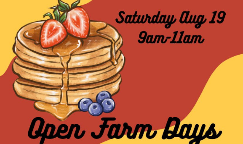 Un dessin de trois crêpes empilées avec du coulis de sirop, deux fraises sur le dessus et quatre bleuets au pied de la tour. Sur l'affiche au fond rouge et orange est inscrit « Saturday Aug 19 9am-11am Open Farm Days »