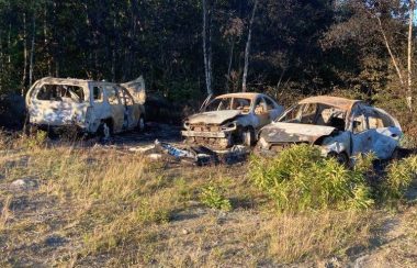 Three burned out cars in a field