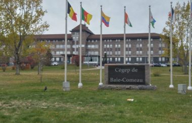 Un bâtiment gris entouré d'arbres, de drapeaux et son enseigne de type monument avec la mention Cégep de Baie-Comeau