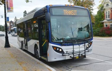 Autobus de Collingwood Transit