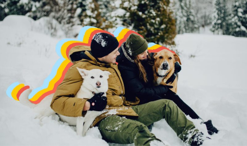 Un couple se composant d'un homme et d'une femme à l'extérieur assis dans la neige. Il y a des arbres derrière eux et deux chiens blanc et blond sont à côté du couple.