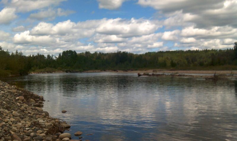 The shoreline of the Nechako River is seen on a sunny day