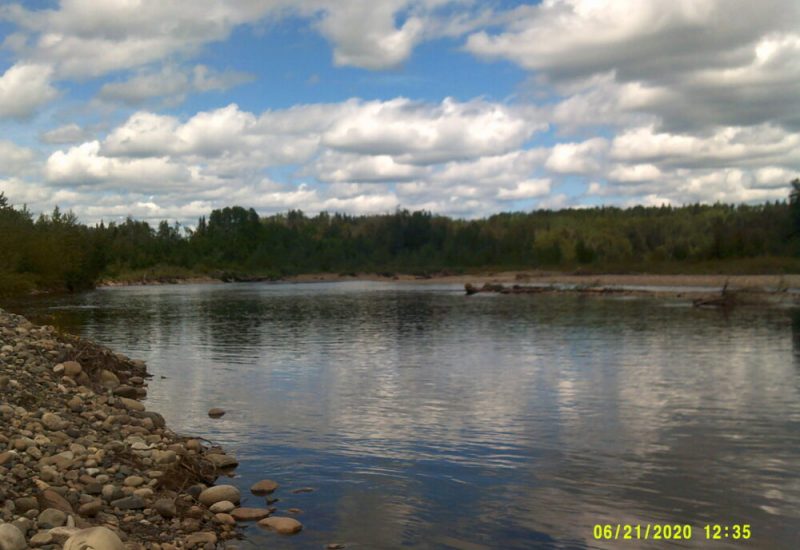 The shoreline of the Nechako River is seen on a sunny day