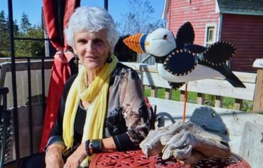 Dame aux cheveux gris avec foulard jaune assis à une table à côté d'une sculpture en bois d'un oiseau. Grange rouge à l'arrière plan.