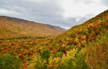 Forêt du Cap-Breton aux couleurs d'automne.