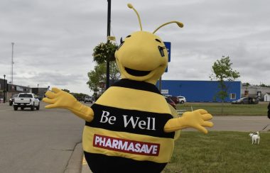 Une mascotte d'une abeille rayée jaune et noir.