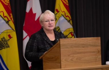 Minister of Health Dorothy Shephard says New Brunswick’s healthcare system needs improvement. Photo: GNB.