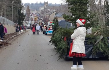 A photo of someone dressed as Santas behind a float of pine trees in a Santa Claus parade in Fergus in 2018.