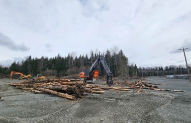 Two machines picking up logs