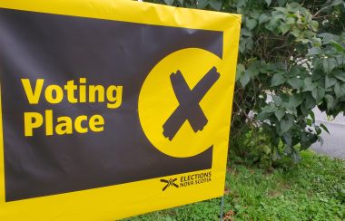 A yellow sign on a lawn in front of a bush indicates where to vote