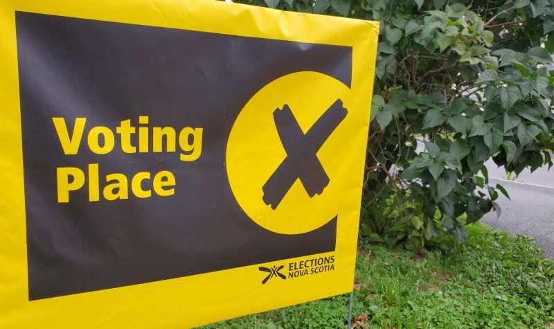 A yellow sign on a lawn in front of a bush indicates where to vote