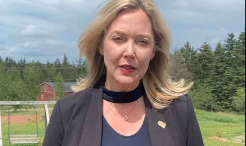 Woman standing in front of a green field. A still from a video.