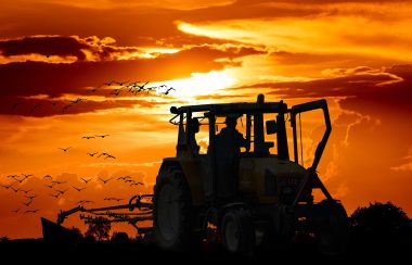 Un tracteur dans un champ avec deux travailleurs assis à l'intérieur, derrière eux le soleil qui se couche ou se lève et un groupe d'oiseaux au loin.