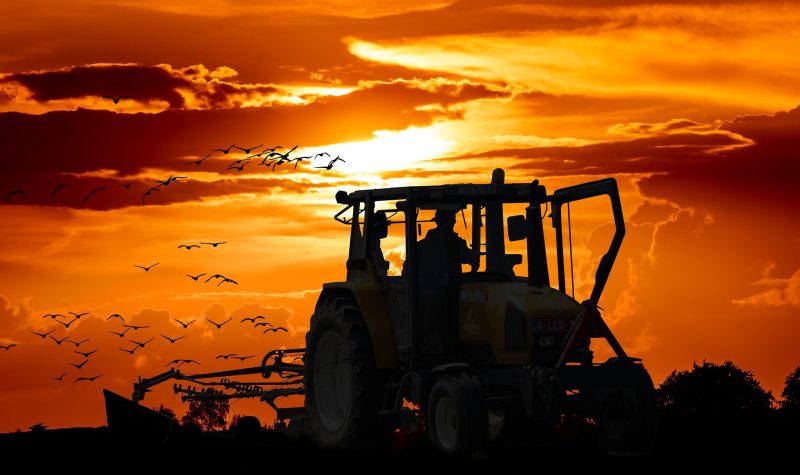 Un tracteur dans un champ avec deux travailleurs assis à l'intérieur, derrière eux le soleil qui se couche ou se lève et un groupe d'oiseaux au loin.
