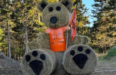 A brown teddy bear wearing an Orange Shirt Day shirt. There is a forest behind it.