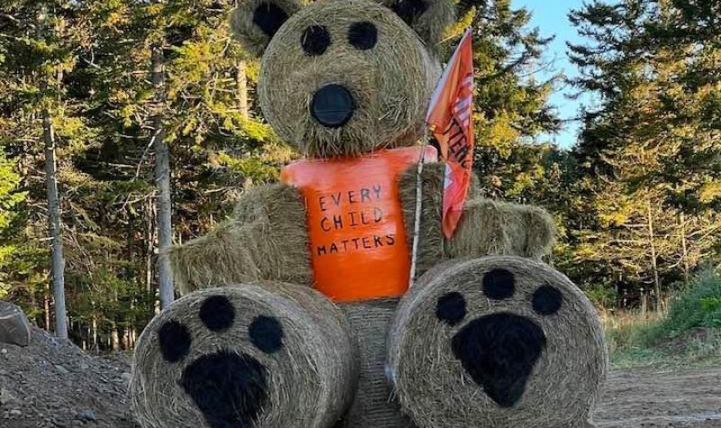 A brown teddy bear wearing an Orange Shirt Day shirt. There is a forest behind it.
