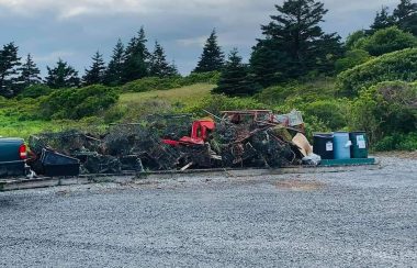 Garbage piled up at the edge of a parking lot