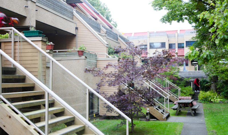 An exterior photo of a row of South False Creek's housing co-ops in spring