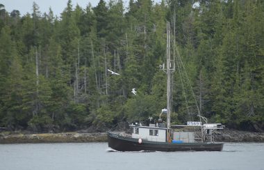 commercial fishing boat near Port Edward, B.C.