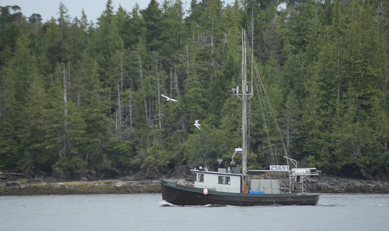 commercial fishing boat near Port Edward, B.C.