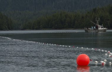 Gillnet boat in the water near Port Edward