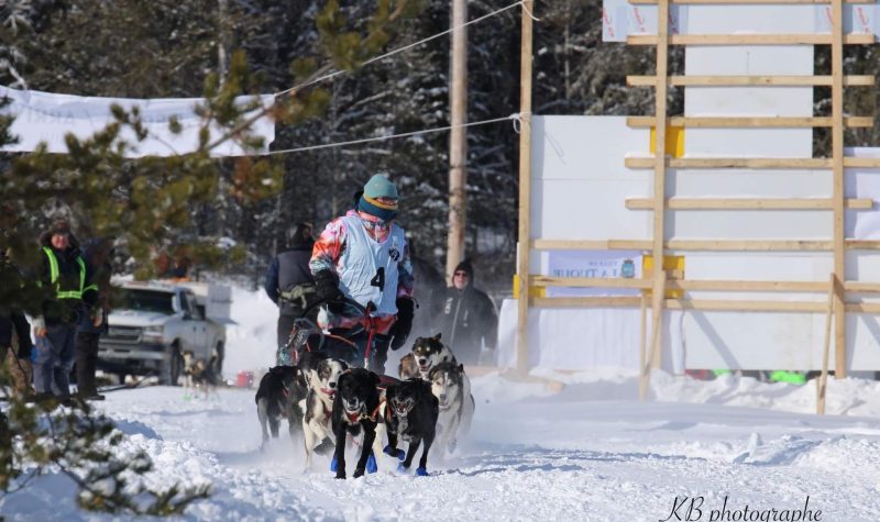 L'équipe du Shawnil participe cet hiver à quatre courses de traineaux à chiens. Photo : Kelliane Baussart