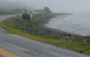 A foggy shoreline next to a highway road.