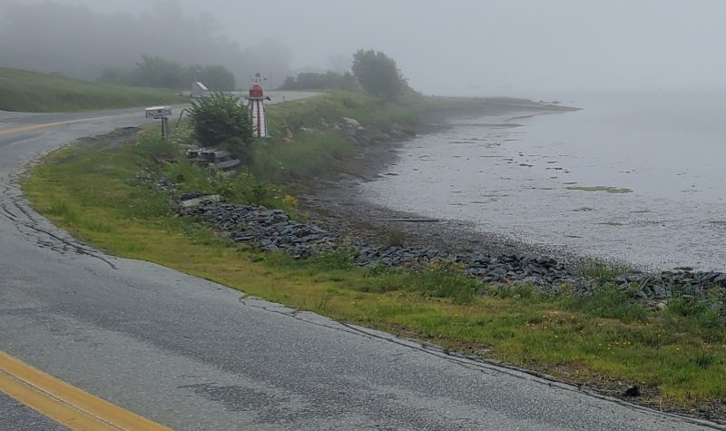 A foggy shoreline next to a highway road.