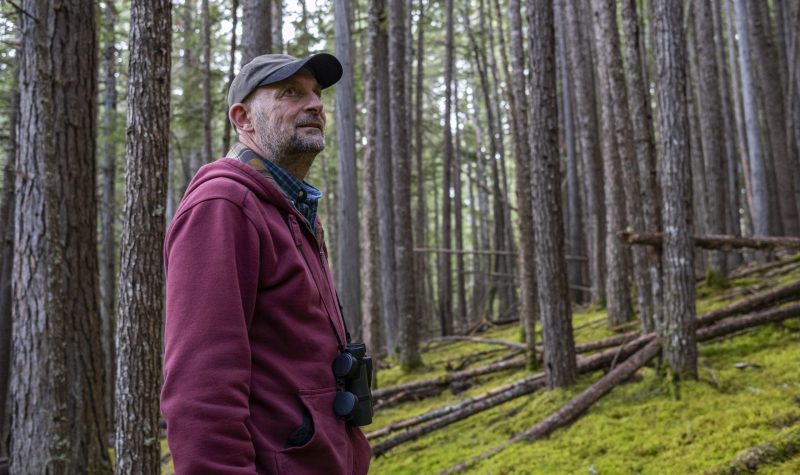 Frank Doyle in the Date Creek Experimental Forest, Kispiox, B.C.